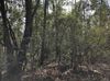 0 Apalachee Parkway photo